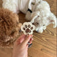 🐾Pet Paw Shaped Leather Keychain