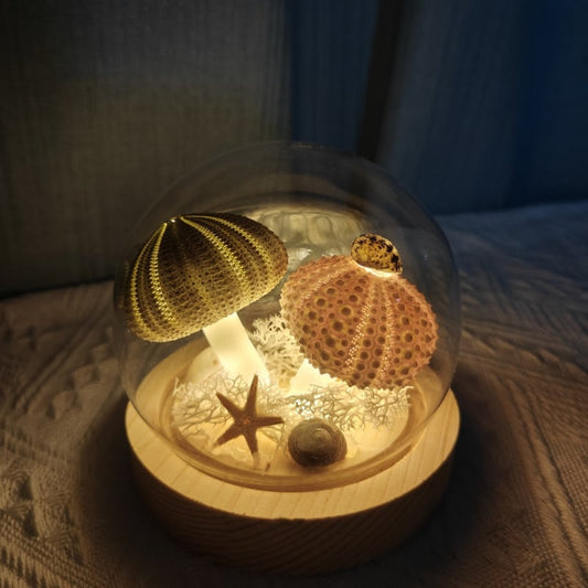 ✨Ocean Glow Urchin Night Light🌊