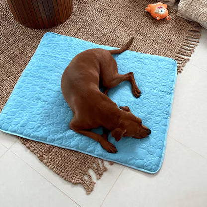 🐕💦Summer Hot Sale 49% OFF🧊Premium Cooling Mat For Pet🐈