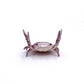 🤣 Funny Hot Sale 🦀 Cute crab-shaped pen holder
