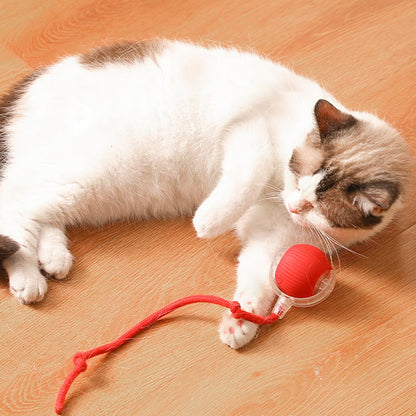 🐶Christmas Sale🐱 Pet Entertainment Toy - Bite Resistant Automatic Game Ball