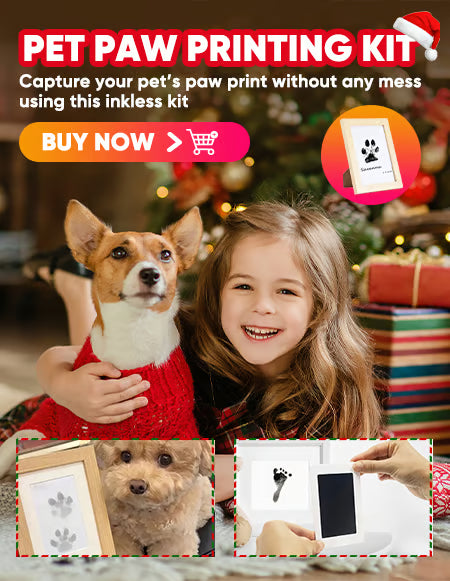 🎄Christmas Sale 49% OFF🎁🐶Pet Paw Printing Kit With Cards Frame🐾🐾