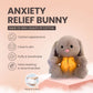 💕Buy 2 Get 20% OFF-🐰Breathing Snuggly Bunny🐰🐰