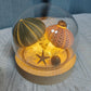 ✨Ocean Glow Urchin Night Light🌊