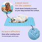 🐕💦Summer Hot Sale 49% OFF🧊Premium Cooling Mat For Pet🐈