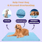 🐕💦Summer Hot Sale 49% OFF🧊Premium Cooling Mat For Pet🐈