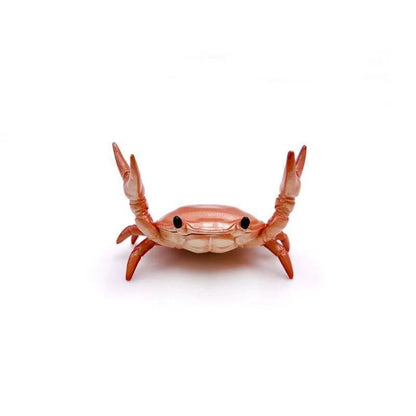 🤣 Funny Hot Sale 🦀 Cute crab-shaped pen holder