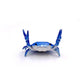 🤣 Funny Hot Sale 🦀 Cute crab-shaped pen holder