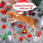 🐱2024 Christmas Countdown Cat Toys Advent Calendar🐈