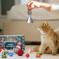 🐱2024 Christmas Countdown Cat Toys Advent Calendar🐈