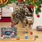 🐱2024 Christmas Countdown Cat Toys Advent Calendar🐈