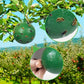 🔥Last Day Promotion - 50% OFF🔥Hanging Environmental Fruit Fly Traps Sticky Traps-BUY 1 GET 1 FREE