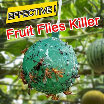 🔥Last Day Promotion - 50% OFF🔥Hanging Environmental Fruit Fly Traps Sticky Traps-BUY 1 GET 1 FREE