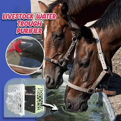 💦Horse Trough Water Purifier Cube💦Buy 1 get 1 free